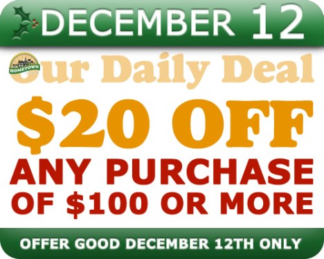 Hometown Bicycles Daily Deal December 12