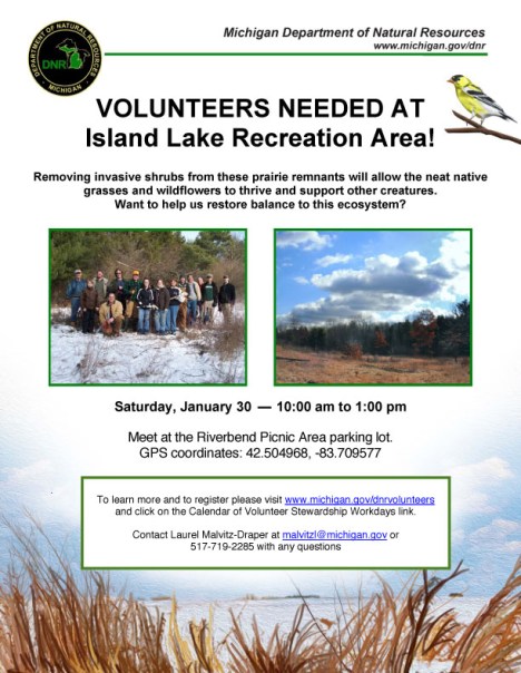 Island Lake Clean-Up flier for 1/30/16