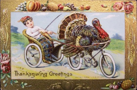 Happy Thanksgiving! turkey on bicycle